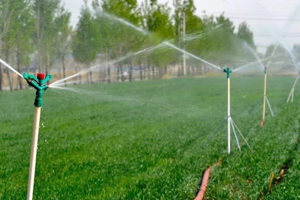节水抗旱的栽培措施,常见的有增施有机肥、深耕深松等