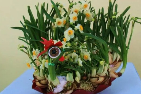 水仙花简介,整株均含有毒性