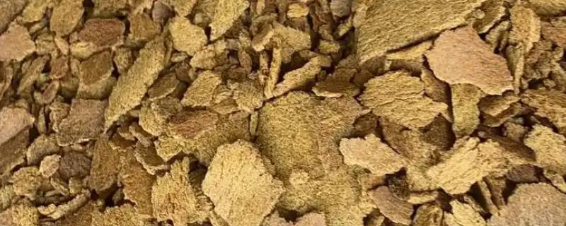 菜籽饼钓鲢鳙效果好不好，要跟一定量的水进行混合才能使用