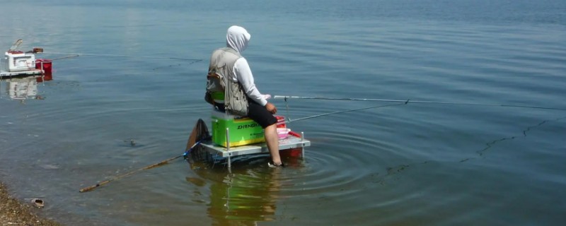 酒米打窝死窝后还能活吗，酒味太浓和风浪太大一般没法活