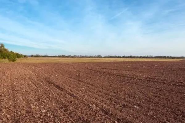 白芨的高产栽培技术，种植温度保持18到20度左右
