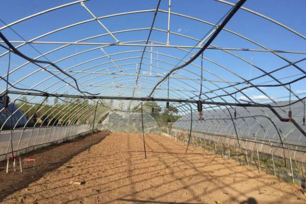 白芨的高产栽培技术，种植温度保持18到20度左右