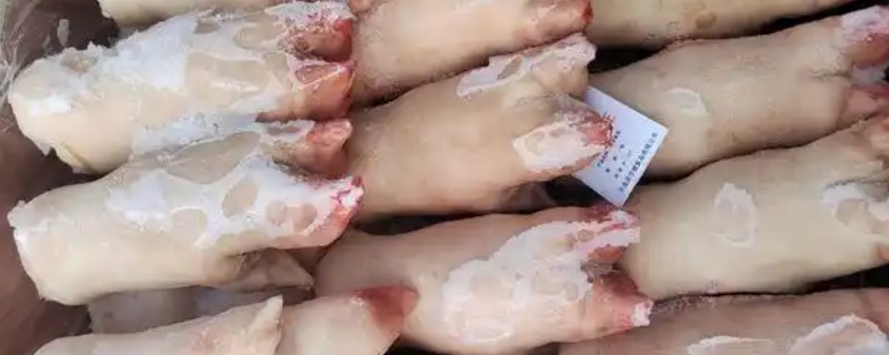 猪前脚和后脚有什么区别，猪前脚骨关节较直、猪后脚骨关节弯曲