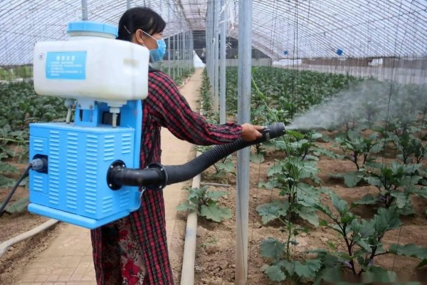 封闭药除草剂打完下雨有没有影响，雨量小则没有影响