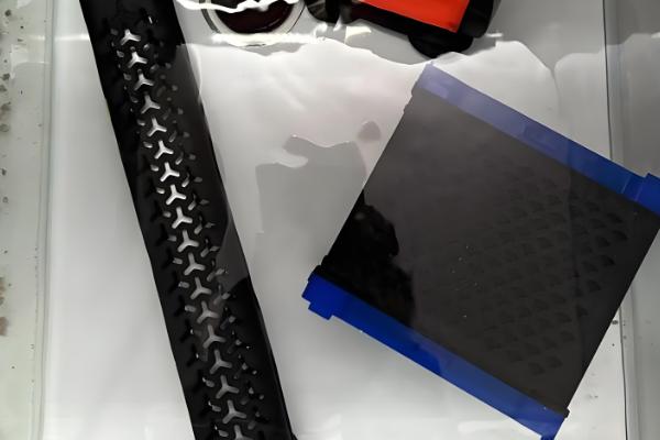 雷龙鱼混养注意事项,要保证食物充足