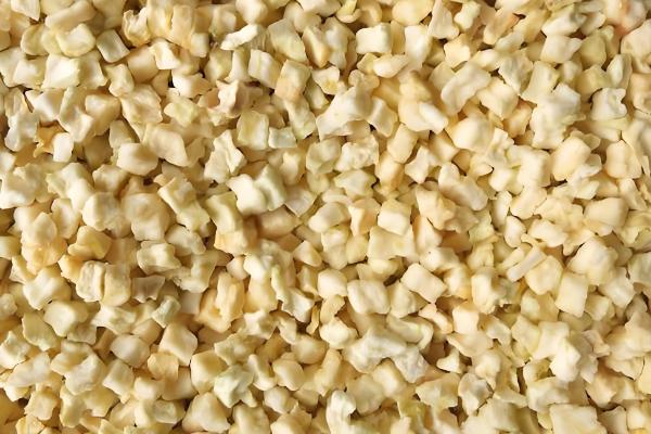 阿拉巴马龟能长多大，成年之后可长至35-45厘米