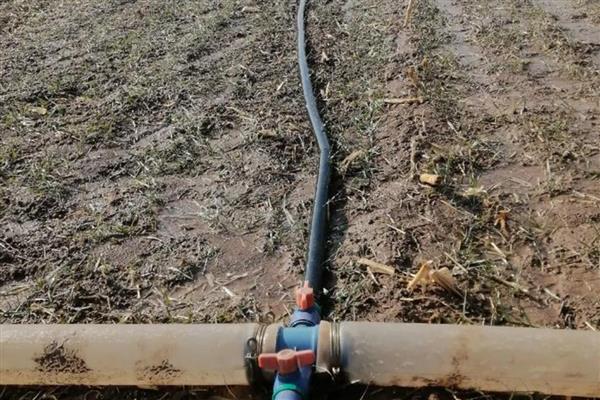 冬季滴灌系统如何防冻,及时排水防冻