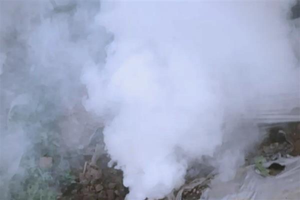 药剂什么时候打，冬季应在温度回升时喷药