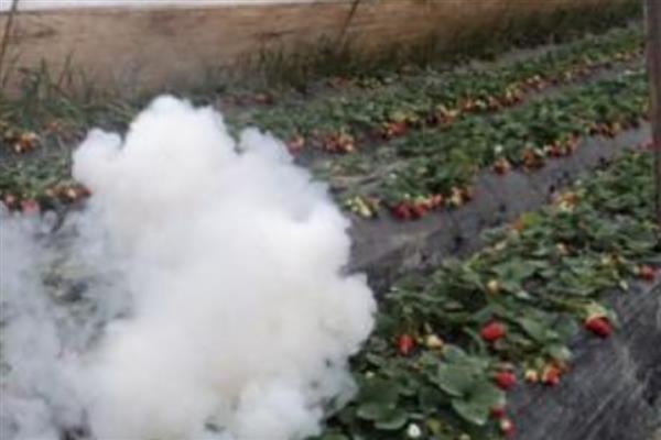 药剂什么时候打，冬季应在温度回升时喷药