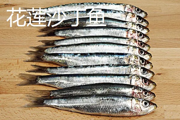 沙丁鱼会聚在一起吗，沙丁鱼经常会聚在一起