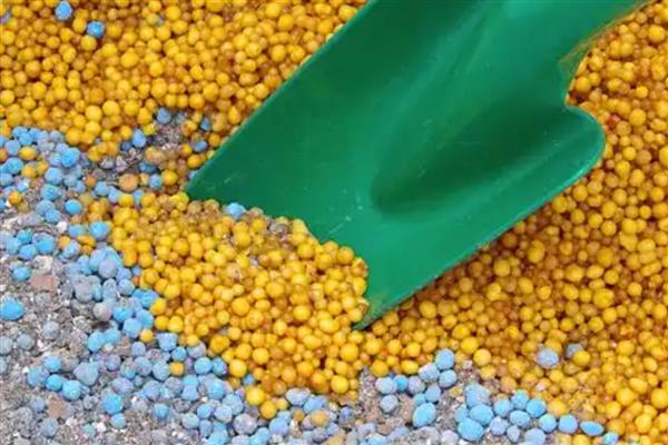 化肥里面的缩二脲有什么危害，含量过高时容易烧苗