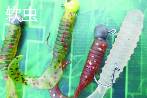 野钓白条鱼选择什么饵料,红虫、蚯蚓、麦粒都是常用的自然饵