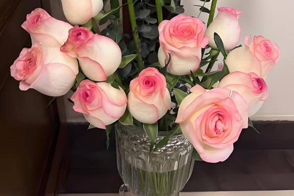 戴安娜玫瑰有什么花语,代表高贵优雅、幸福快乐等含义