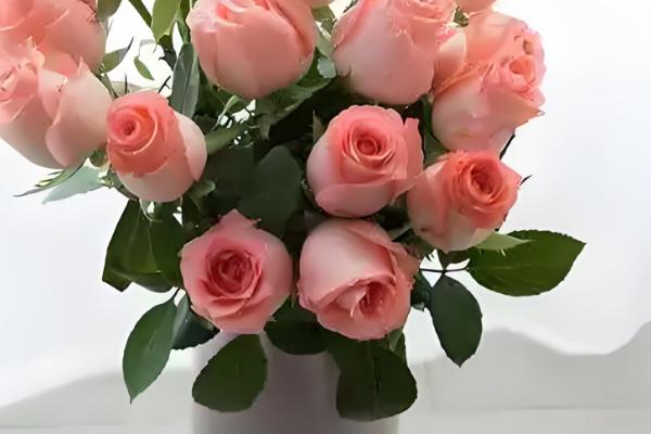 戴安娜玫瑰有什么花语,代表高贵优雅、幸福快乐等含义