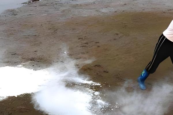 怎么养殖对虾,放苗后的半个月每天投喂4次