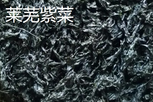 广东潮汕有哪些特产,牛肉丸最具代表性