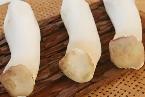 杏鲍菇和鸡腿菇有什么区别，菌盖颜色、形状等方面都不同