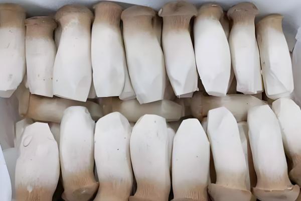 杏鲍菇和鸡腿菇有什么区别，菌盖颜色、形状等方面都不同