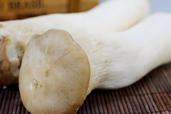 杏鲍菇和鸡腿菇有什么区别，菌盖颜色、形状等方面都不同