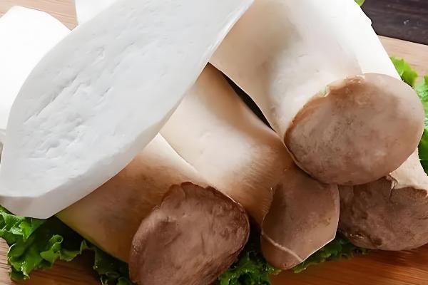 杏鲍菇和鸡腿菇有什么区别，菌盖颜色、形状等方面都不同