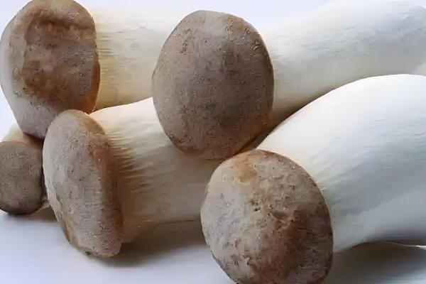 杏鲍菇和鸡腿菇有什么区别，菌盖颜色、形状等方面都不同