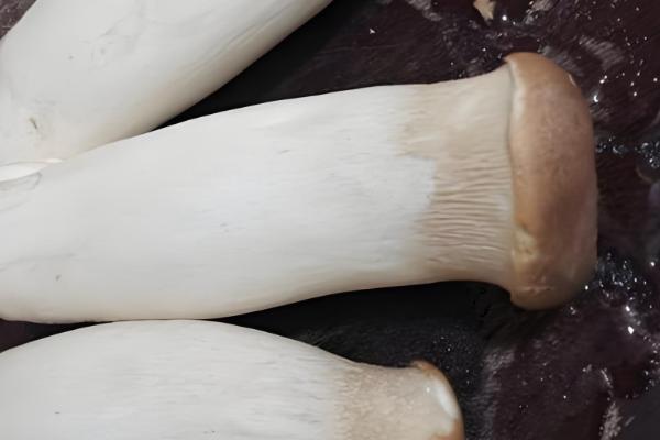 杏鲍菇和鸡腿菇有什么区别，菌盖颜色、形状等方面都不同