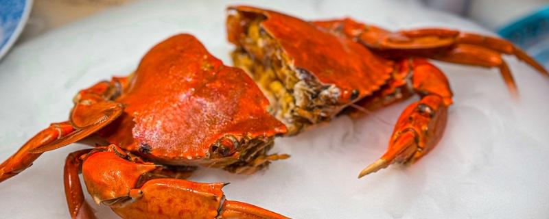 吃螃蟹能喝牛奶吗，吃螃蟹可以喝牛奶