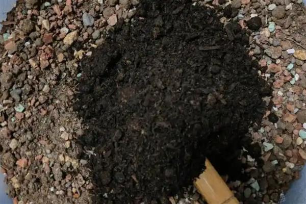 基质土和营养土有什么区别，原料、土质、培育对象都不同