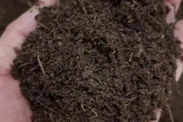 基质土和营养土有什么区别，原料、土质、培育对象都不同