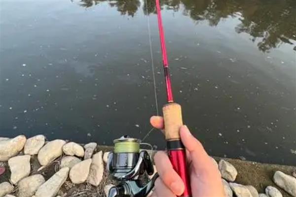 纺车轮要用pe线还是尼龙线，二者各具优点均可选择