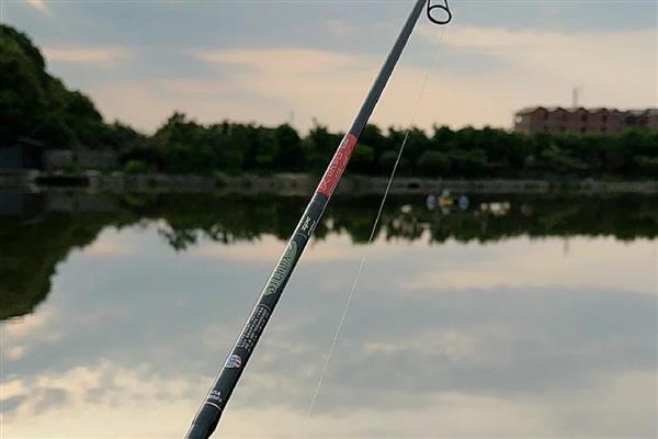 纺车轮要用pe线还是尼龙线，二者各具优点均可选择