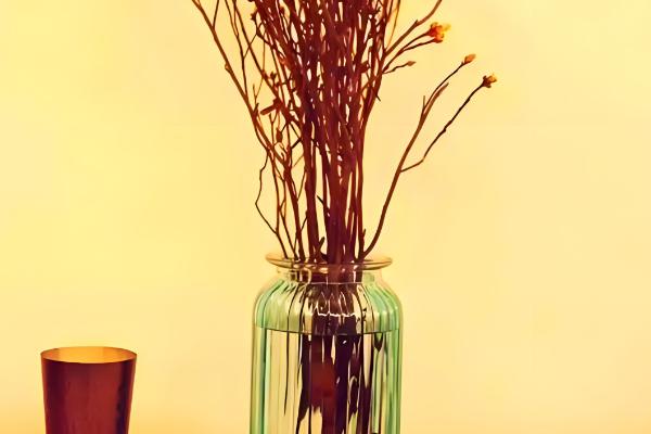 干枝杜鹃怎么养，适宜生长在温暖的环境中