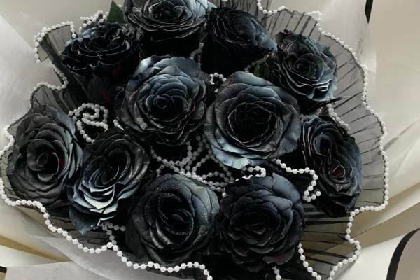 黑玫瑰的花语，寓意神秘独特、独一无二等