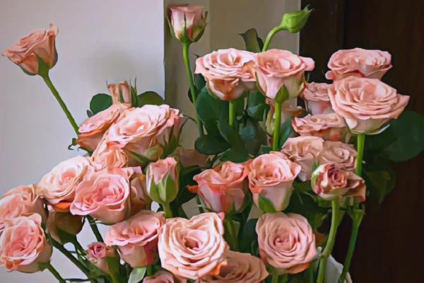 黑玫瑰的花语，寓意神秘独特、独一无二等