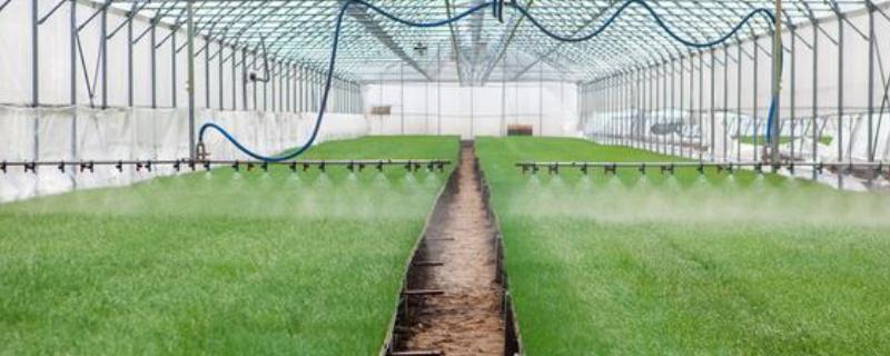 大棚蔬菜使用粉尘剂的好处，施药功效大大提高