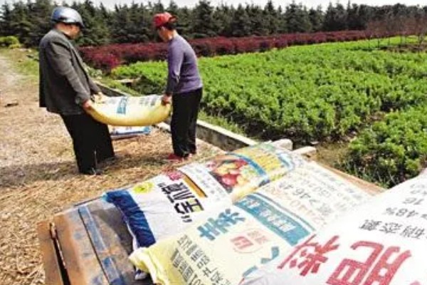 六月份能种豇豆吗，豇豆六月份能种植