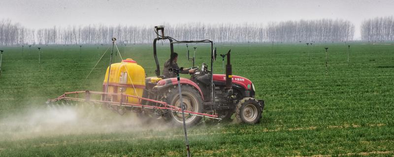 小麦有机肥施用后的注意事项，应合理施用配方肥