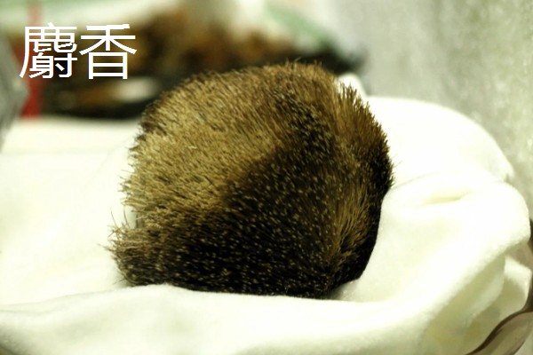 哪些中药材有市场，枸杞、金银花、人参等品种的市场需求大