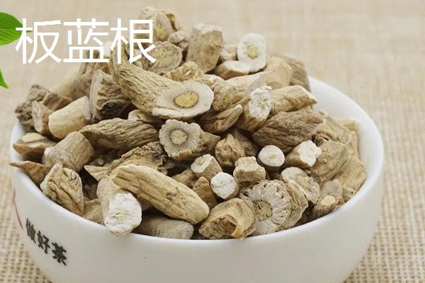 哪些中药材有市场，枸杞、金银花、人参等品种的市场需求大