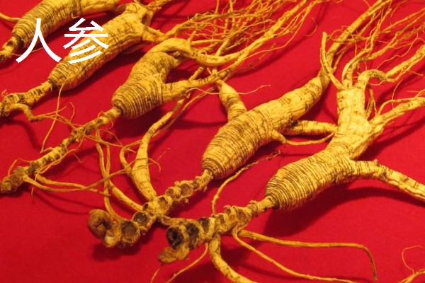 哪些中药材有市场，枸杞、金银花、人参等品种的市场需求大