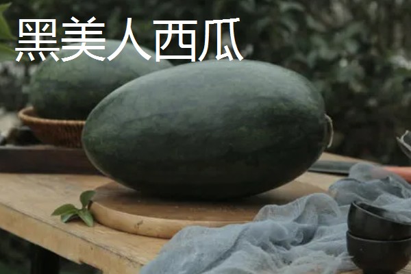 黑美人西瓜与麒麟西瓜的区别，颜色、形状、甜度等方面都不同