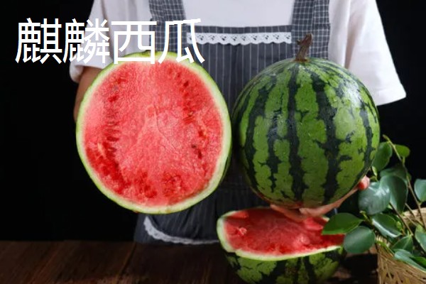 黑美人西瓜与麒麟西瓜的区别，颜色、形状、甜度等方面都不同