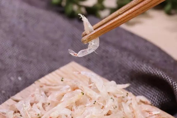 毛虾苗的原产地,在渤海、黄海分布比较多