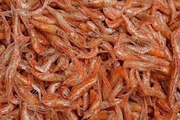 毛虾苗的原产地,在渤海、黄海分布比较多