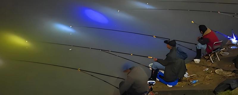 夜钓什么时候有口，晚上8-9点大部分鱼类都会开口