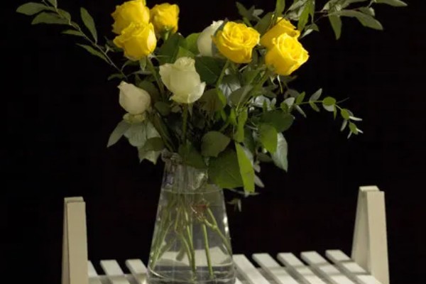 玫瑰花的特点，其花序呈圆锥形