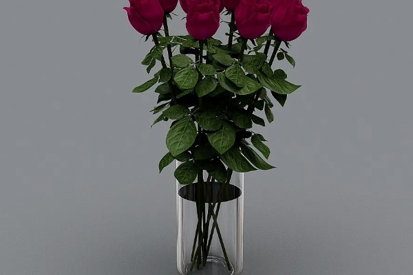 玫瑰花的特点，其花序呈圆锥形