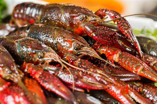 小龙虾几月份上市，5-9月份会集中供应