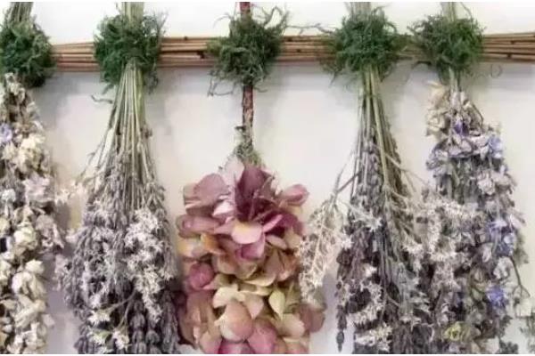 将鲜花制成干花需要倒挂多久，挂在阴凉通风处仅需7-15天左右