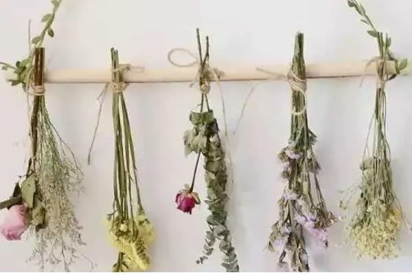 将鲜花制成干花需要倒挂多久，挂在阴凉通风处仅需7-15天左右